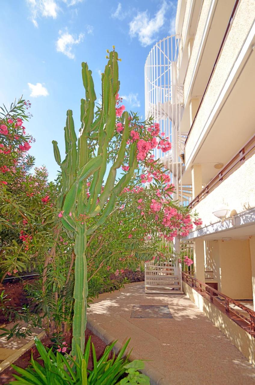 Apartamentos Los Juncos I Playa del Ingles  Luaran gambar